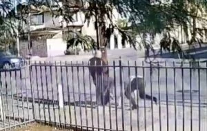 Arrestan a policía municipal y su hermano por agresión al periodista Jorge Heras