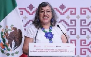 PAN critica renuncia de Teresa Reyes a la Comisión Nacional de Búsqueda