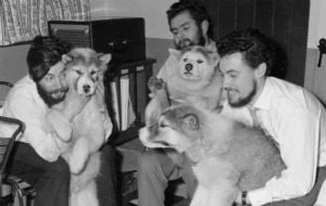 El deshielo “libera” el cadáver de un investigador desaparecido en la Antártida en 1959