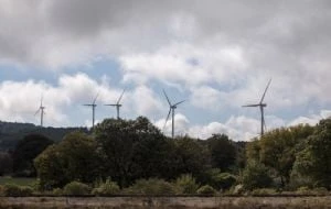 Iberdrola se va con un legado de daños y abusos: expertos evalúan su paso por México