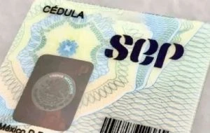 SEP habilita sitio de internet para tramitar cédulas profesionales: estos son los requisitos