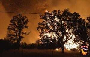 Ascienden a más de 80 mil los evacuados en Los Ángeles por incendios que avanzan sin control