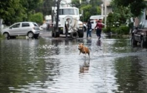 Azotarán lluvias intensas con riesgo de encharcamientos e inundaciones entre lunes y jueves