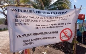 Tras dos años de lucha del pueblo maya, Profepa clausura definitivamente la granja de Santa María Chi