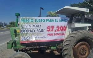 Maiceros en Jalisco rechazan pago de 6 mil pesos por tonelada, advierten que seguirán los bloqueos