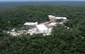 Hotel Militar del Tren Maya en Reserva de Calakmul disminuyó en 88% la presencia del jaguar