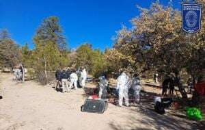 Localizan 10 cuerpos, la mayoría desmembrados, en seis fosas clandestinas en Chihuahua