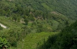 Jueza niega amparo a indígenas que buscan detener la construcción de la vía San Cristóbal-Palenque