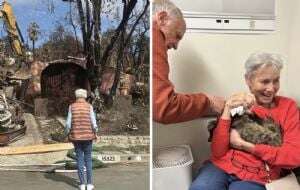 VIDEO: Increíble reunión de un gato con su dueña tras los incendios en Los Ángeles