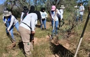 Dueño de predio, donde encontraron restos de 60 personas, obstruye a buscadoras en Hermosillo