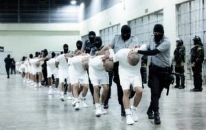 Acción militar de EU contra cárteles podría degenerar en una guerra interminable, advierten expertos