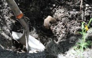 Hallan fosa clandestina en Guanajuato; Fiscalía recupera 17 cuerpos