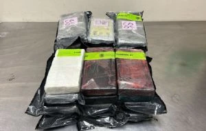 Autoridades aduaneras de EU incautan 850 mil dólares en cocaína en camioneta proveniente de México