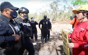México, segundo en asesinatos de defensoras ambientales: la violencia, por megaproyectos