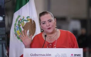 INE espera una “participación altamente copiosa” para la elección judicial: Taddei