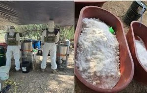 Desmantelan narcolaboratorio en Michoacán; producía dos toneladas de metanfetamina por semana