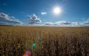 Alianza con Cataluña: oportunidad para modernizar el campo mexicano