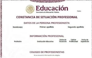 Constancia de Situación Profesional: ¿Para qué sirve y cómo tramitarla de forma gratuita en línea?