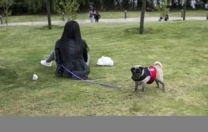 CDMX prohíbe negar renta o compra de inmuebles a personas con menores de edad o mascotas