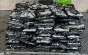 CBP incauta metanfetamina valuada en más de 7.6 mdd en cargamento de rosas de México a EU