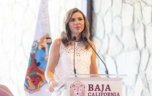 Marina del Pilar se deslinda de vínculos con el crimen organizado