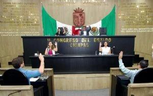 Congreso de Chiapas endurece sanciones contra el maltrato animal