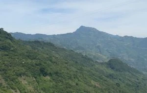 Organizaciones exigen suspensión inmediata y definitiva de la carretera San Cristóbal-Palenque