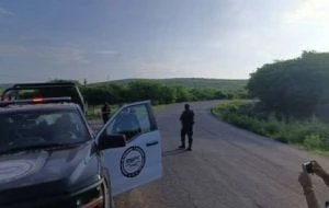 En sólo siete meses Sinaloa supera récord de homicidios de 2024