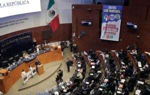 Senadores oficialistas aprueban leyes secundarias para Pemex y la CFE