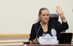 INE calcula participación de entre 12.57 y 13.32%, muy por debajo de las expectativas de la 4T