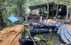 DEA revela que tres cárteles del narcotráfico operan en Hidalgo