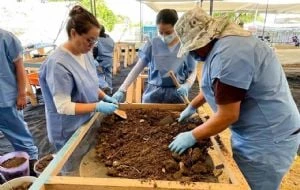 Trabajos forenses en Jojutla avanzan sin plan real de identificación