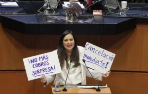 El Senado aprueba en fast track la reforma que regula las suscripciones digitales