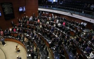 El Senado aprueba a los nuevos integrantes del Consejo Nacional de Búsqueda