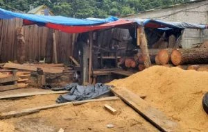 Clausuran aserradero ilegal en Huitzilac, Morelos; aseguran madera y maquinaria