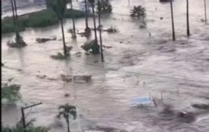 Suman 15 personas muertas y miles de familias damnificadas tras lluvias en Veracruz