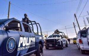 Acusan a policías de Aguascalientes por matar a una perra y allanar domicilio