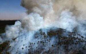 Brasil atraviesa su peor sequía con incendios forestales y el Amazonas en un mínimo histórico