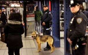 Muere una persona al ser empujada hacia las vías en metro de Nueva York