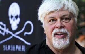 Dinamarca libera al activista contra la caza de ballenas Paul Watson y no lo extraditará a Japón