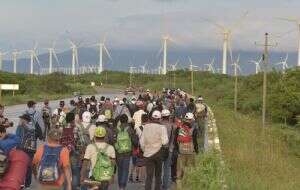 Automóvil arrolla a una caravana de migrantes en Oaxaca; mueren tres