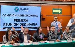 La Sección Instructora analizará casos de “Alito”, Arturo Zaldívar, Gertz y Lorenzo Córdoba