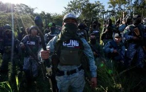 Alianza entre 