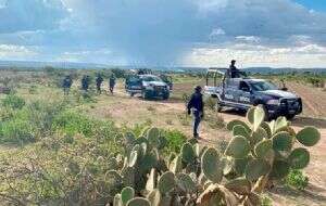 Zacatecas: Muere un policía y cinco delincuentes tras enfrentamiento