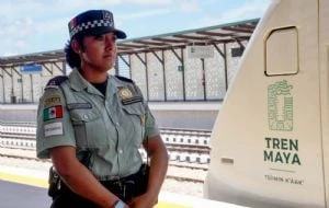 Tren Maya suspende servicio por Beryl