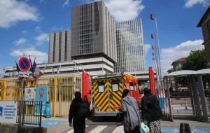 Paciente francesa con hantavirus está en estado crítico; el total de casos aumenta a 11