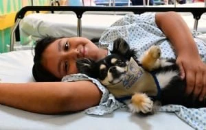 Terapias con perros ayudan a pacientes a fortalecer su bienestar emocional en el INP
