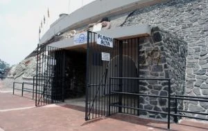 A 41 años del Túnel 29: así publicó Proceso la tragedia de la final Pumas-América de 1985 en CU