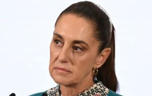 La frontera podría abrir gradualmente ante disminución de casos de gusano barrenador: Sheinbaum