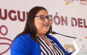Iniciativa para homologar y sancionar abuso sexual fue aprobada en 16 congresos: Citlalli Hernández